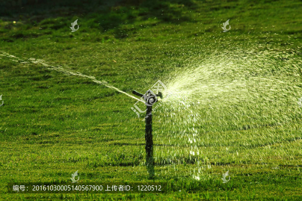 灑水綠地草坪