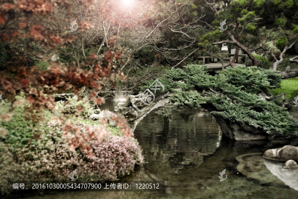 日本庭園與燃燒的太陽