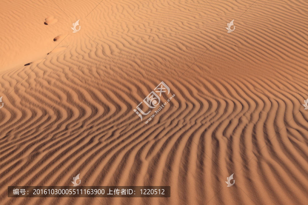 怪異的彎曲的沙浪