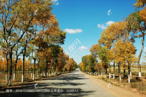 在Autumn的路上
