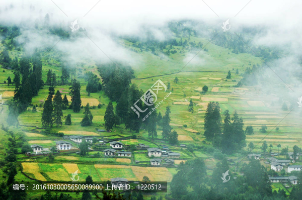 薄霧清晨的山村