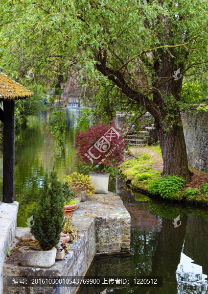 美麗的花園
