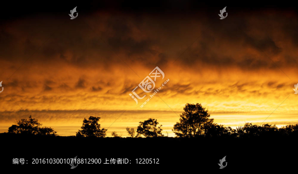 天空之火