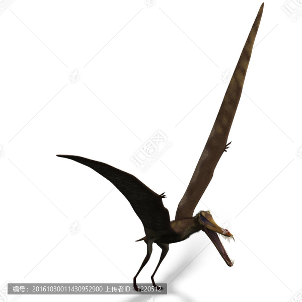 古魔翼龍翼龍恐龍。3D渲染與剪輯路徑和陰影超過白色