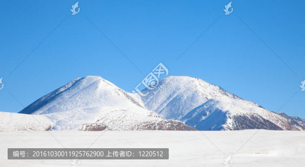 雙重頂