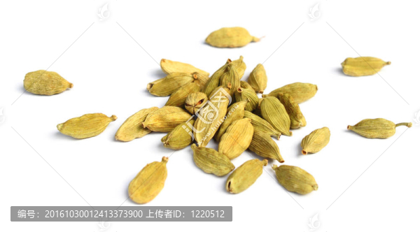 小豆蔻種子