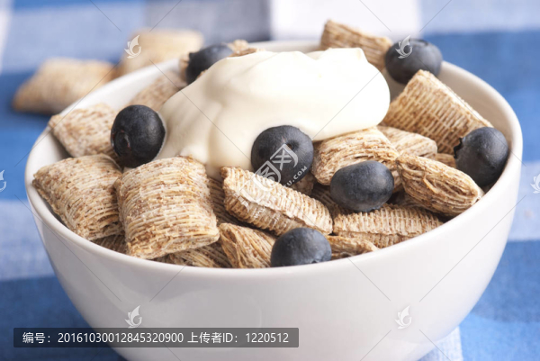 迷你小麥