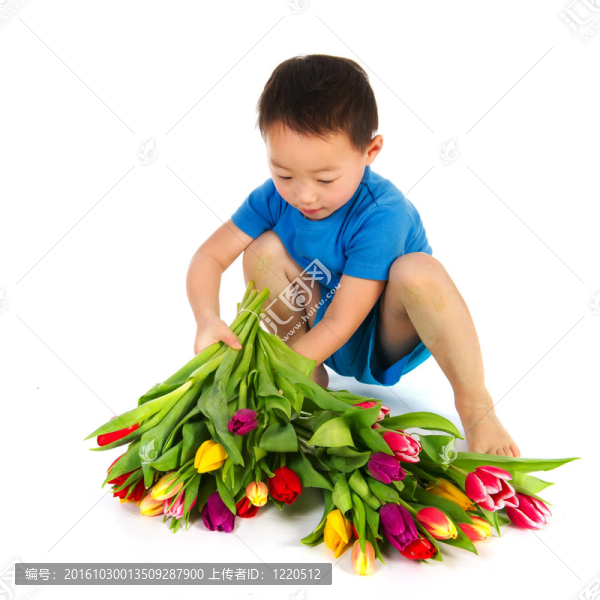 亞洲男孩花