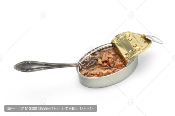 魚(yú)可以和叉子
