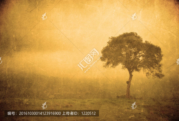 在老式紙一棵樹垃圾圖像