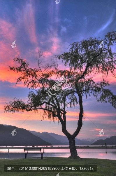 哈里森的夜景