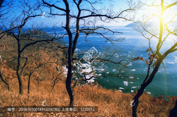 多巖石的海岸