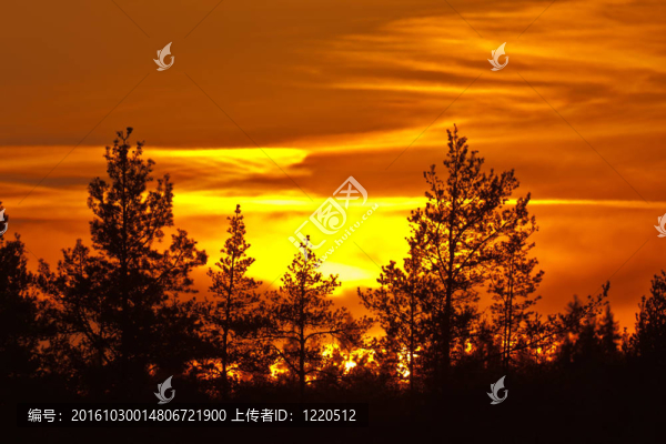 火紅的天空