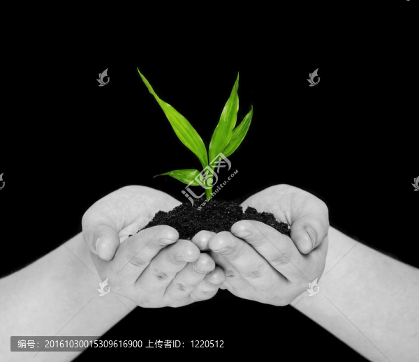 植物在手