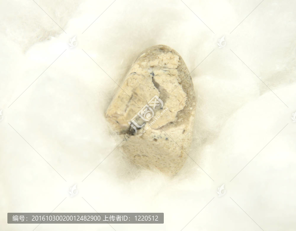 蟑螂合唱團(tuán)礦物棉