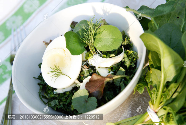 春夏季雜草草本沙拉