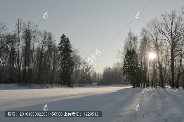 冬季景觀