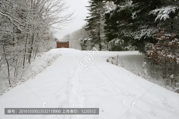 積雪的道路