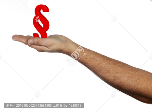 段