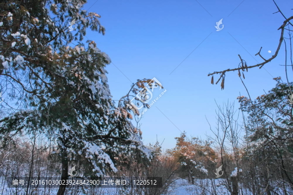 冬季景觀