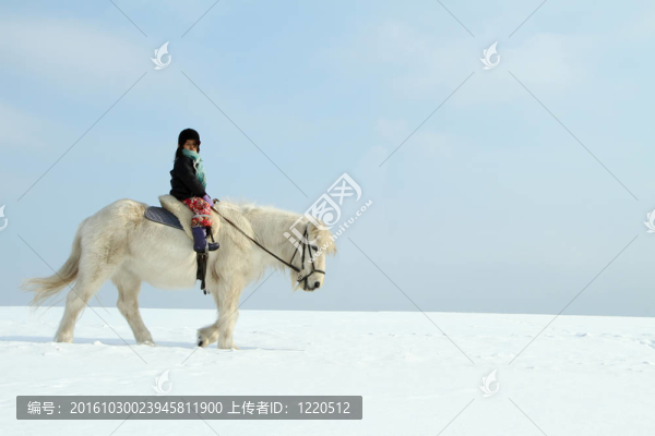 孩子的馬