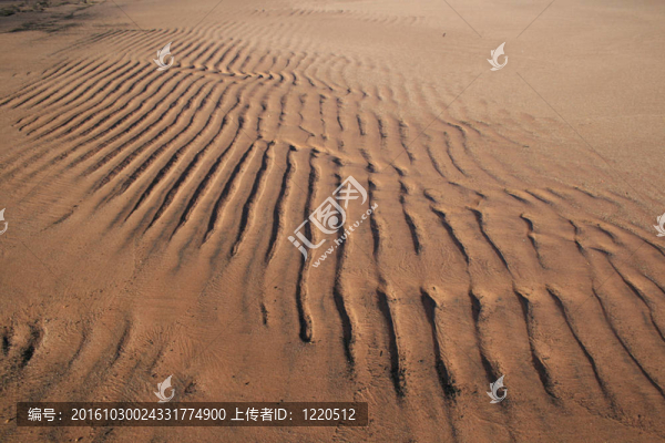 海灘上的沙紋