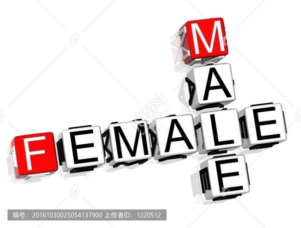 男性與女性的字謎