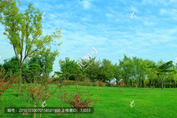 綠地