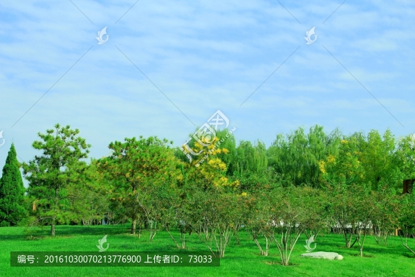 綠地