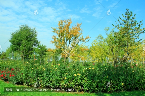 公園