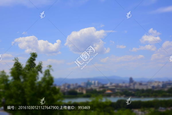 樹枝與天空