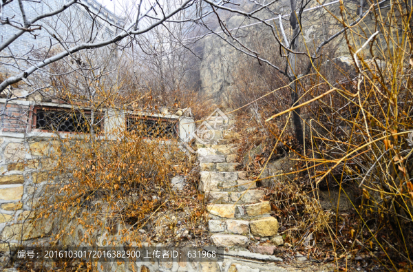 山間小路和小院