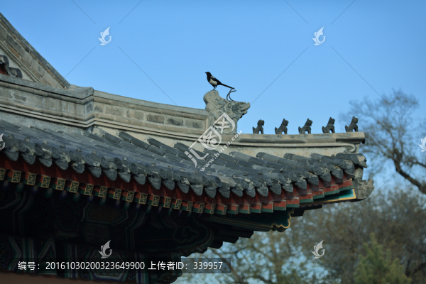 哈爾濱文廟