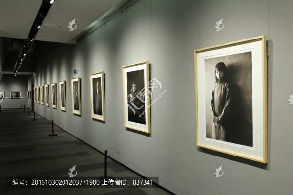 展覽