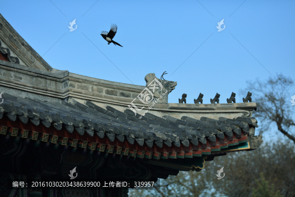 哈爾濱文廟