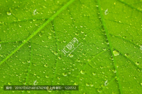 水滴