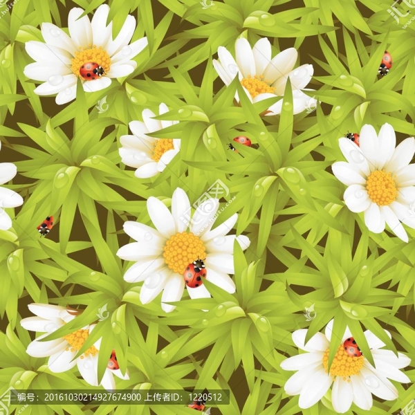 camomiles無縫背景
