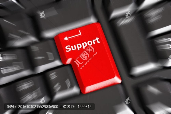 支持