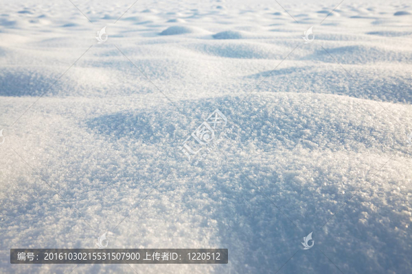 雪紋理；冬景；雪背景
