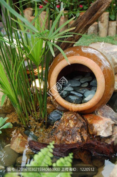 熱帶花園