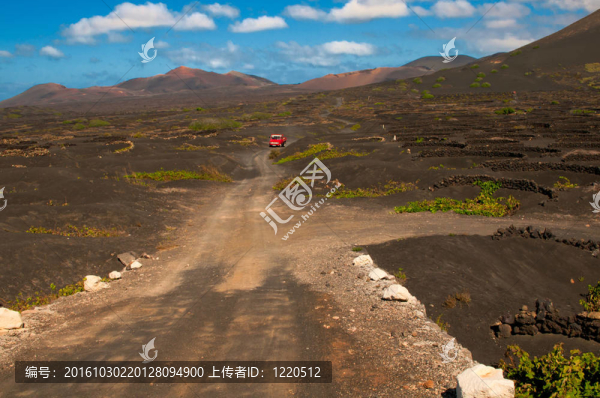 蘭薩羅特島島的葡萄園景觀