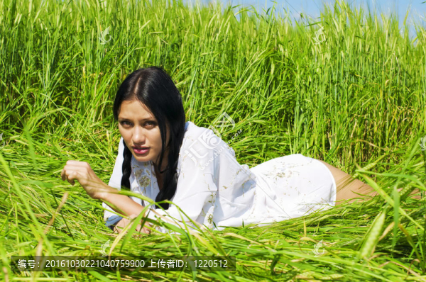 麥田里的女人
