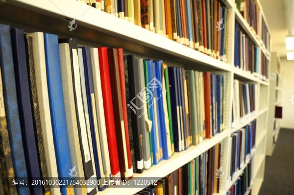 圖書館里的書