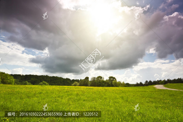 春天的風(fēng)景