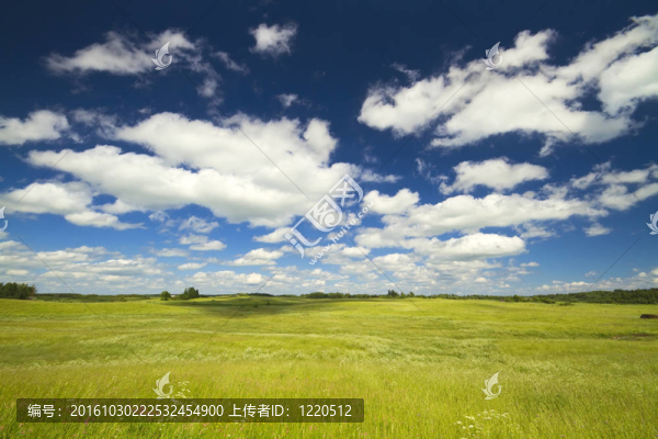 夏天的風景