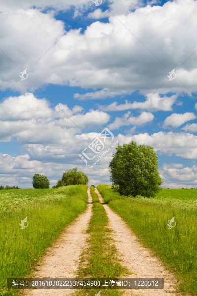 穿過草地的路