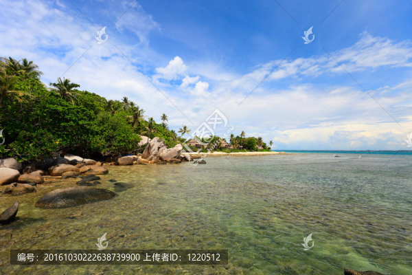 熱帶島嶼