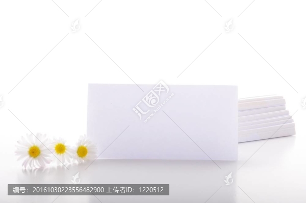 紙