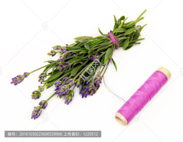 淡紫色的小花束