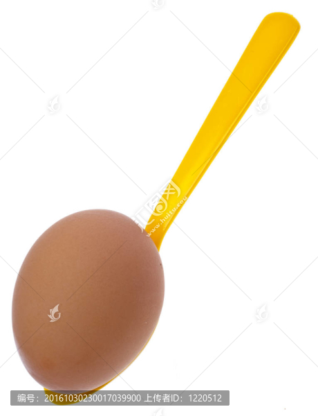 Brown,Egg與
